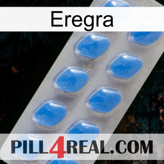 Eregra 22
